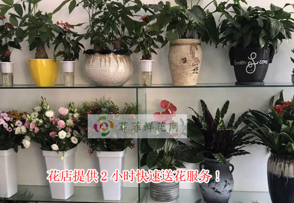 漳州花店提供漳州2小时快速送花服务